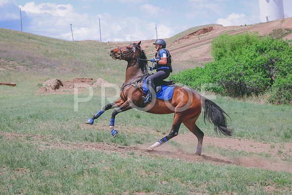 BYR_3566