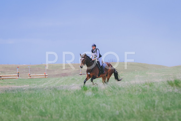 BYR_4238 copy