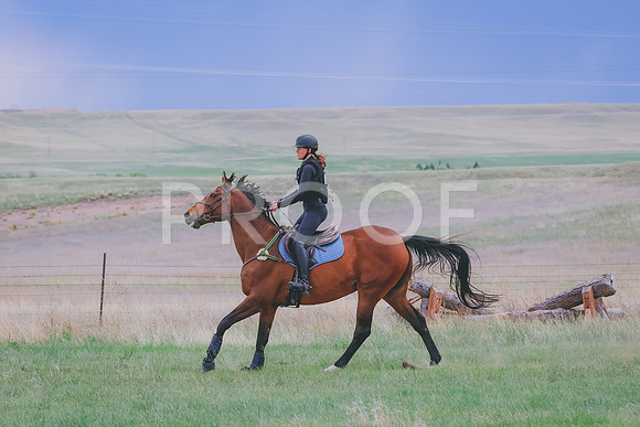 BYR_5310