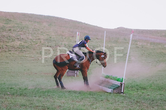 BYR_6403