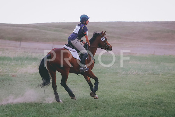 BYR_6455