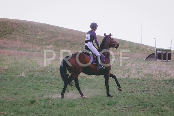 BYR_6563