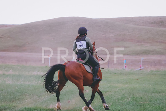 BYR_7310