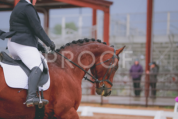 BYR_3641