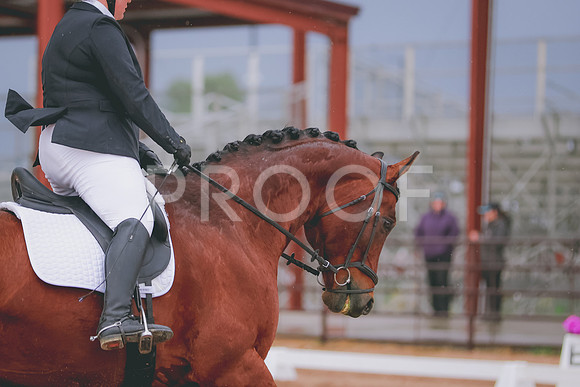 BYR_3642