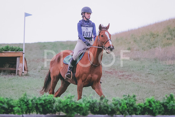 BYR_0593