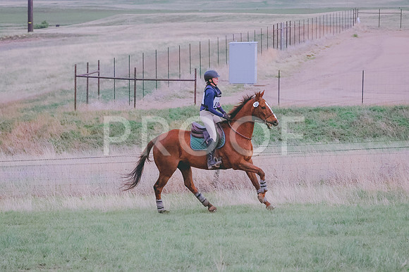 BYR_0642