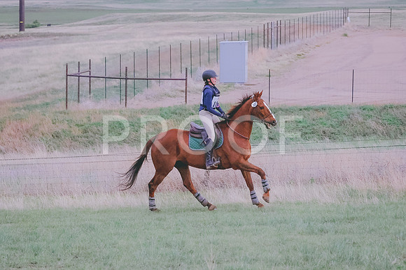 BYR_0643