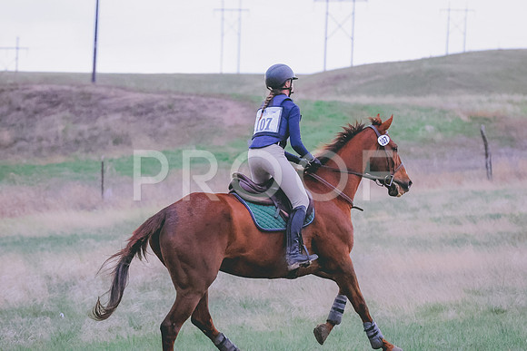 BYR_0683