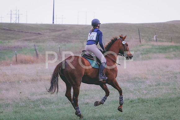 BYR_0690