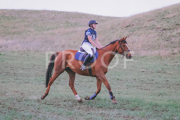BYR_0067