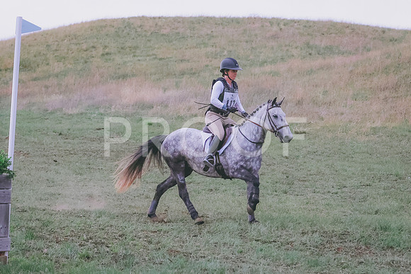 BYR_0431