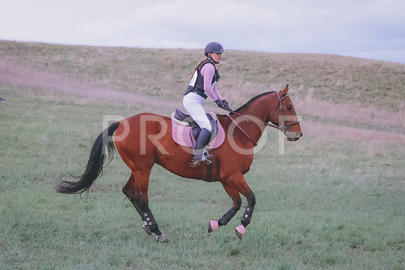 BYR_0954