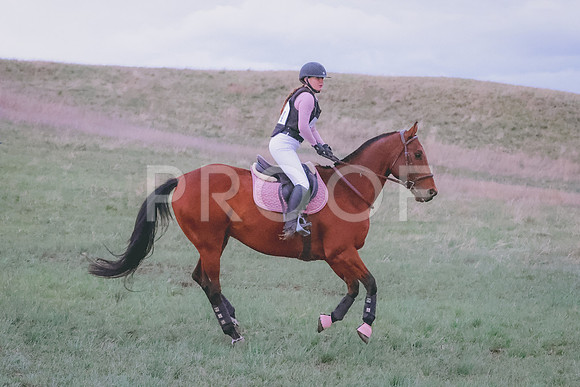 BYR_0955