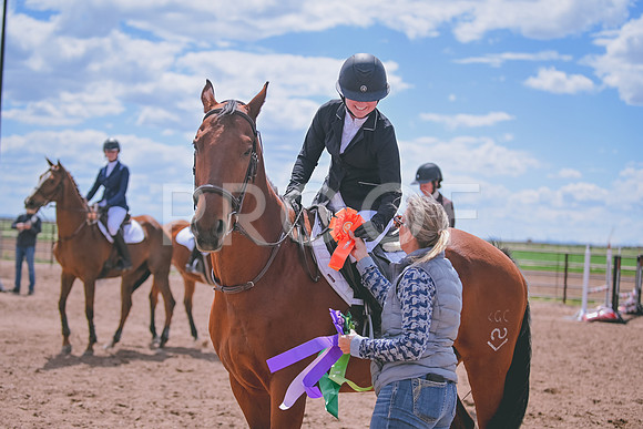 DSC_6549 copy