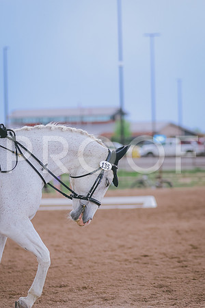 BYR_2609
