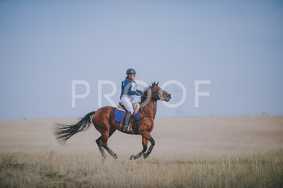 JJS_3428