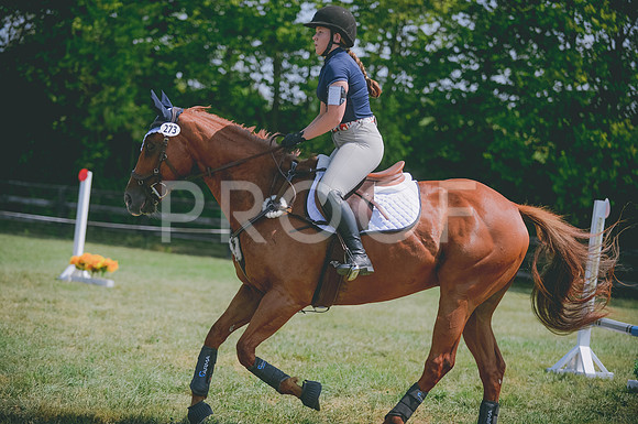 JJS_1413