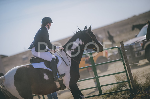 JJS_3208
