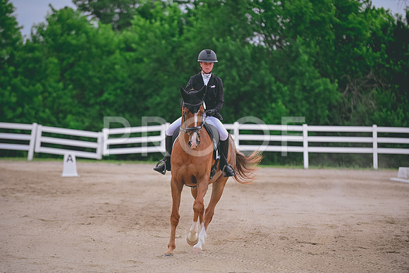 DSC_1571