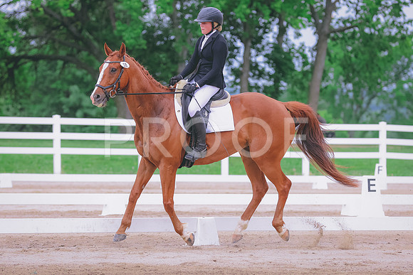 BYR_0046