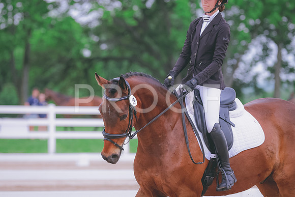 BYR_0292