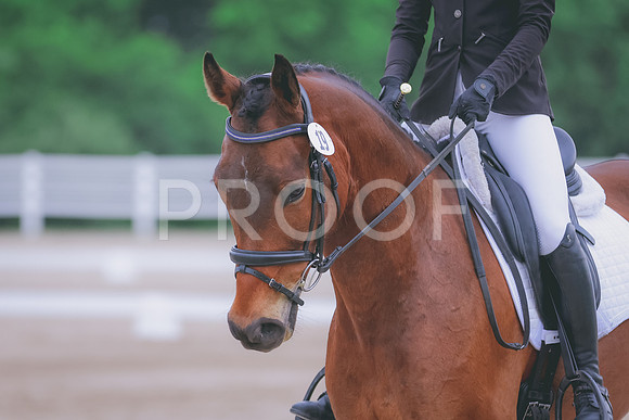 BYR_0379