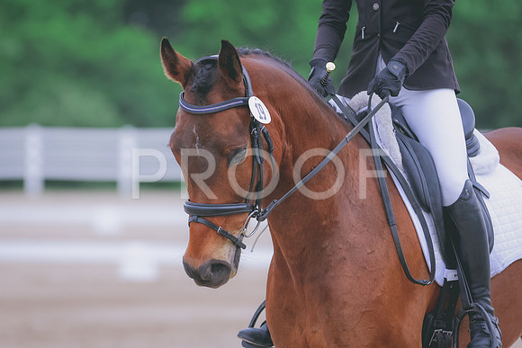 BYR_0380