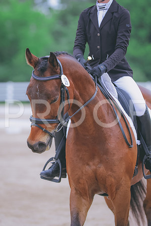 BYR_0588
