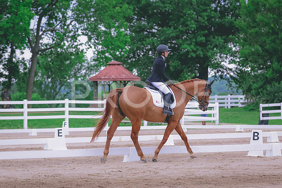BYR_0881