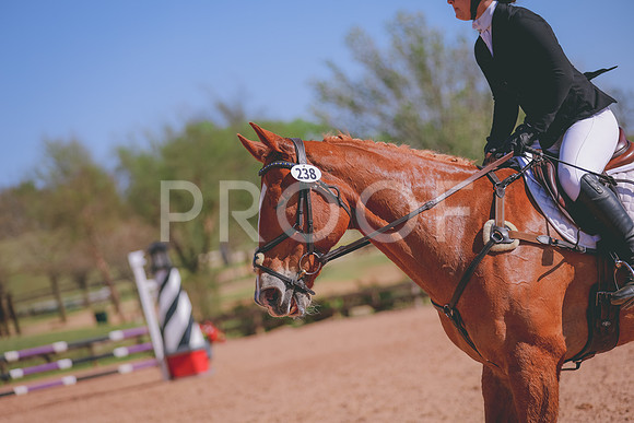 JC5_9194