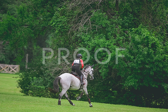DSC_2471
