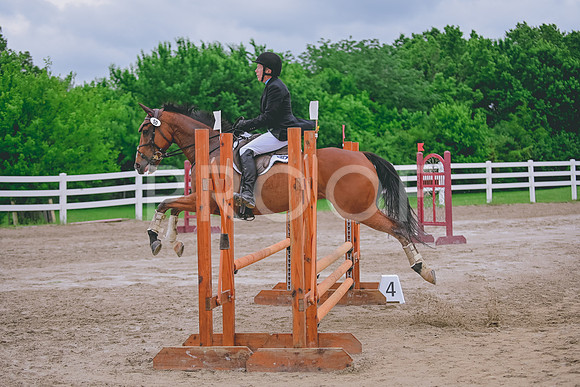 DSC_8466