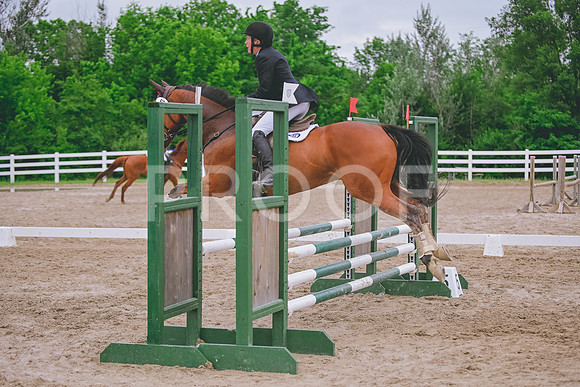 DSC_8473