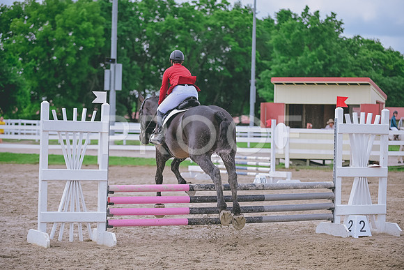 DSC_1834