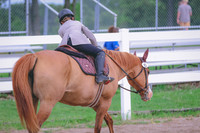 BYR_0407