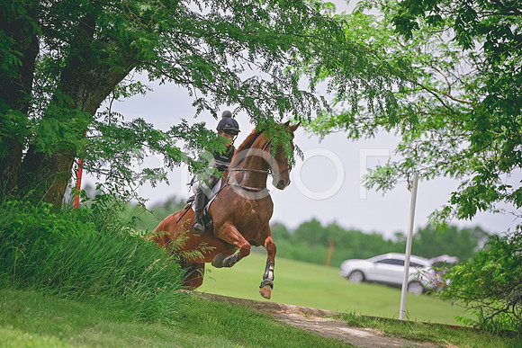 DSC_5813