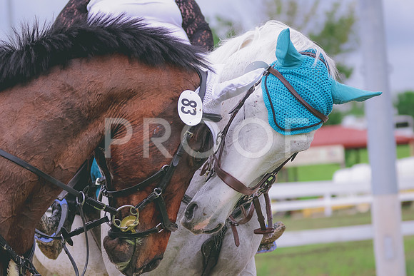 BYR_0162