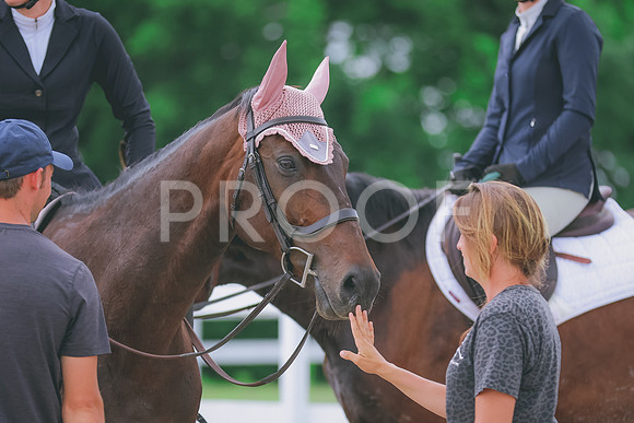 BYR_0872