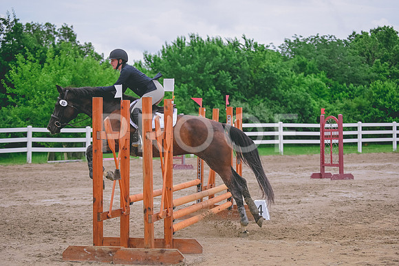 DSC_5613