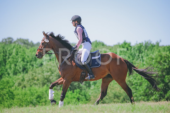 RWP_1202