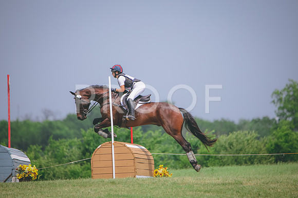 RWP_1079