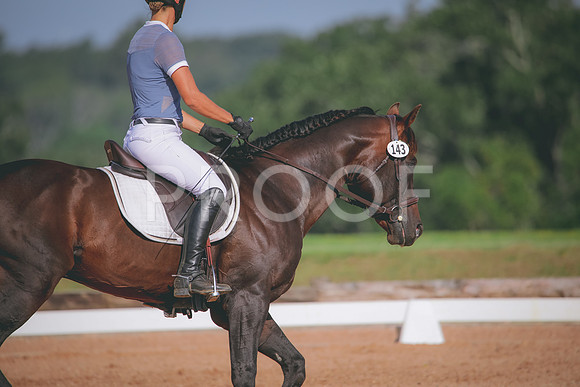 RWP_4593
