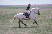 CDH_9008