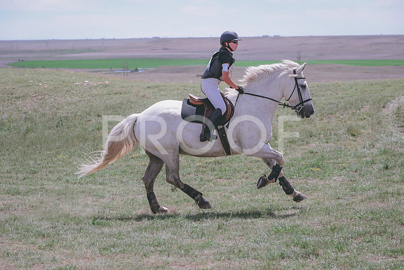 CDH_9008
