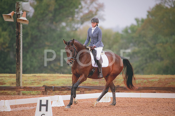 RWP_1080