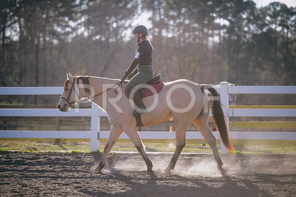 JJS_2731