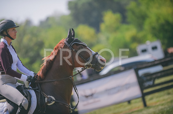 JJS_1492