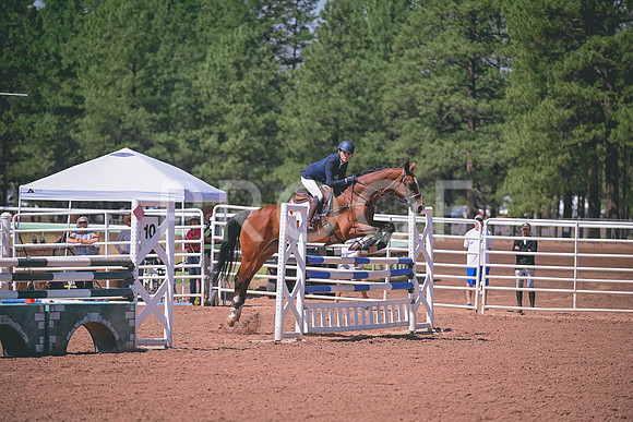 DSC_3998
