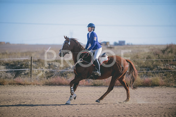 JJS_0306
